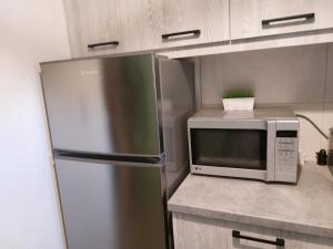 a kitchen with a stainless steel refrigerator and a microwave at Vitamin sea Studio in Panayía