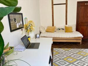 TV a/nebo společenská místnost v ubytování Appartement ancien