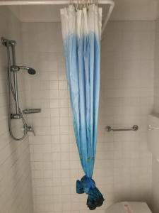 cortina azul en el baño con ducha en Hotel L&V, en Rímini