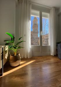 a room with a window and a potted plant at Alojamiento en pleno centro con WIFI y Aire Acondicionado in Logroño