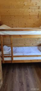 2 łóżka piętrowe w pokoju z drewnianą ścianą w obiekcie Stały Ląd w Darłówku