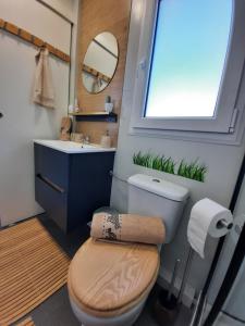 a bathroom with a toilet and a sink and a window at Mobile home Sirena Drage in Drage +48 photos