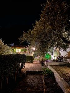 a walkway with trees and bushes at night at Karras Village in Plataria +106 photos