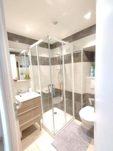 a bathroom with a shower and a toilet and a sink at La Plume in Orgnac-lʼAven