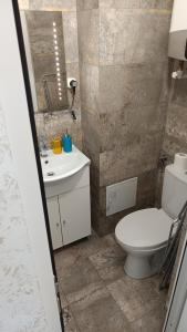La salle de bains est pourvue de toilettes et d'un lavabo. dans l'établissement Dika Sofia Residence, à Mangalia