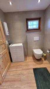 a small bathroom with a toilet and a window at Bienenhaus in Dornhan +15 photos