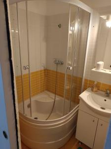La salle de bains est pourvue d'une douche et d'un lavabo. dans l'établissement Dika Sofia Residence, à Mangalia