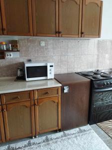 Kuchyň nebo kuchyňský kout v ubytování Cika Apartment