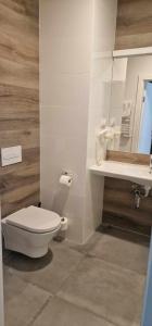 シェンナにあるApartament Czarna Góra STARのトイレと洗面台付きのバスルーム