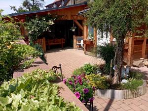 einen Garten mit Blumen und Pflanzen vor einem Haus in der Unterkunft FeWo Am alten Holzplatz in Drübeck