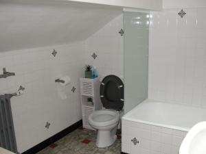 a bathroom with a toilet and a bath tub at appartement thones in Thônes +9 photos