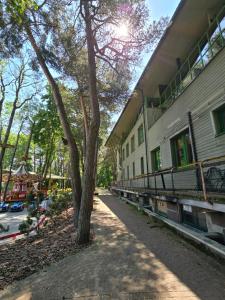 a tree is sitting next to a building at Hotel Promenade in Palanga