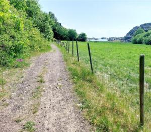 a dirt road in a field next to a fence at Solheim in Ormelet