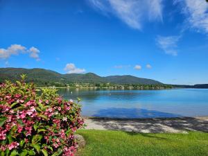 a view of a lake with mountains in the background at Ferienwohnungen Gottschlicht in Oberhof