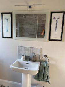 a bathroom with a sink and a mirror at mary-tim's Cromane Cross near Killorglin in Killorglin