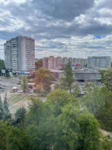 Blick auf eine Stadt mit hohen Gebäuden und Bäumen in der Unterkunft Гагарина ДАФФИ in Dnipro