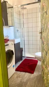 een badkamer met een wasmachine en een toilet bij A casa di Roberto in Rome