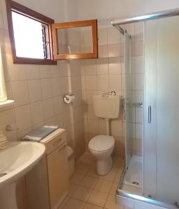 W łazience znajduje się toaleta i przeszklony prysznic. w obiekcie Maridatis Apartments w mieście Palekastron