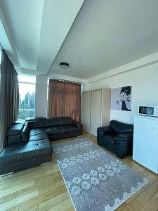 a living room with a black leather couch and a rug at Apartment Arkadia in Budva