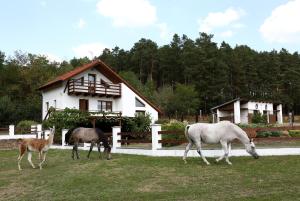 Animale la sau în apropiere de această pensiune agroturistică