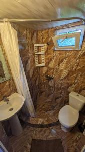 ein Bad mit einem WC und einem Waschbecken in der Unterkunft Guest House NINI in Bordschomi