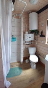 a bathroom with a white toilet and a shower at Domki na Chabrowej in Augustów