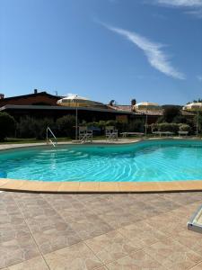 a large swimming pool with blue water at Agriturismo Agrifoglio in Capalbio