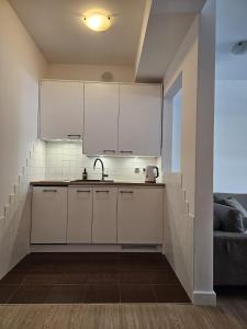 Kuchyňa alebo kuchynka v ubytovaní Apartament 56 m2 Arka Medical Spa
