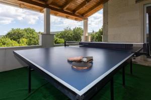 Stolní tenis v ubytování Holiday Home Rajna nebo okolí