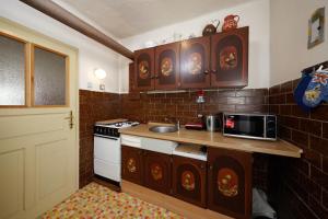 a kitchen with a sink and a counter with a microwave at Chalupa Sněženka in Nýrsko