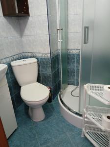 a bathroom with a toilet and a shower at Korwin in Rewal
