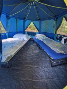 two beds in the inside of a tent at Little Ranch am Badesee in Urnshausen