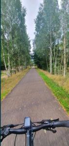 a bike parked on a road with trees at Domek w Zaciszu in Cieszyno +2 photos