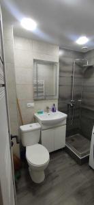 ein Bad mit einem WC, einem Waschbecken und einer Dusche in der Unterkunft Городской эдем: уют и комфорт in Yerevan