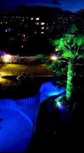 a night view of a palm tree with blue lights at Guest House Sofia in Sandanski