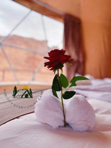 a red rose sitting on top of a bed at Rum city Star LUXURY Camp in Wadi Rum