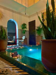 una piscina con luci in una stanza con piante di Riad New Moon a Marrakech