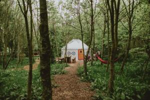 a small tent in the middle of a forest at Elessar Yurt Village in Chichester