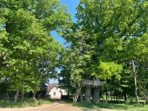 a tree house in the middle of a forest at Viesu nams "Vijās" in Degumuiža +16 photos