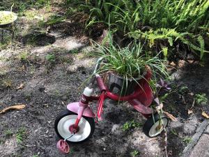 a small pink scooter with a potted plant on the ground at Private Room in the Heart of Calle Ocho - 1V in Miami