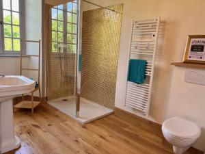a bathroom with a shower and a toilet and a sink at Château Planquery - Viking Heritage, Pet Friendly in Planquery