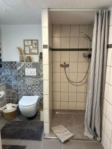 a bathroom with a shower with a toilet in it at Ferienhaus Goldstück wohnen im Weinberg in Pommern