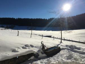 Relais de la Baume v zimě