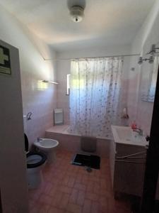a bathroom with a shower and a toilet and a sink at Casa marreiros in Aljezur +28 photos