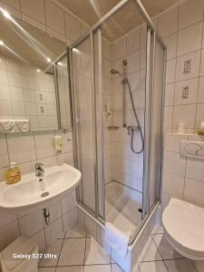 a bathroom with a shower and a sink and a toilet at Cafe Steffens in Hahnenklee-Bockswiese +37 photos