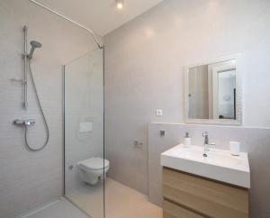 a bathroom with a shower and a toilet and a sink at Apartment MORE Island Vis in Vis