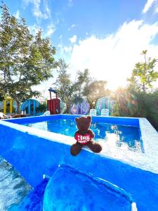 a teddy bear sitting on the edge of a pool at 與大自然融合的包棟小屋 in Hengchun