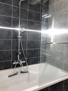 a shower with a shower head in a bathroom at Beau T2 rénové in Cluses +4 photos