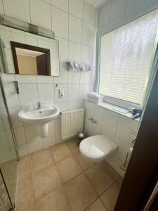 a bathroom with a toilet and a sink at Nierswalder Landhaus in Goch
