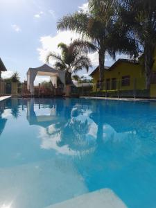 里奧哈的住宿－Cabañas Puertas del Sol，一座拥有蓝色海水和棕榈树的大型游泳池